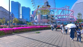 KANAGAWA Shinko Walk  Japan 4K HDR