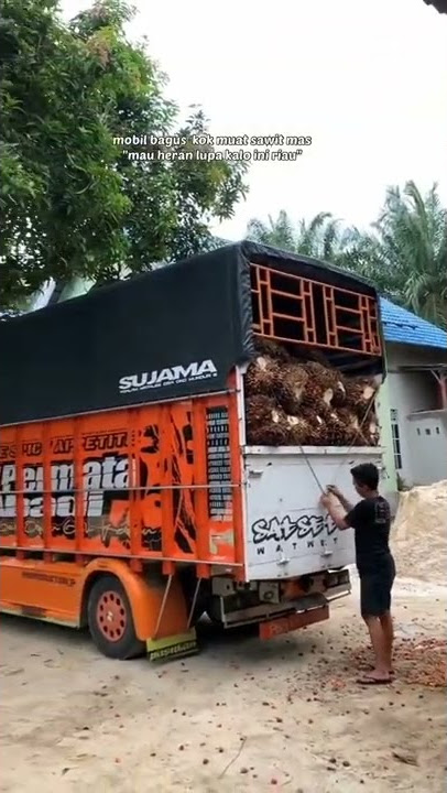Viral Story' Wa Truk Rollis 30 Detik Keren