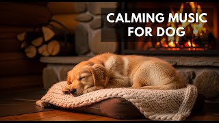 12 hours of Soothing Music to Help Dogs Sleep : Reduce Anxiety and Promote Deep Rest 😴🐕🦺 Peace