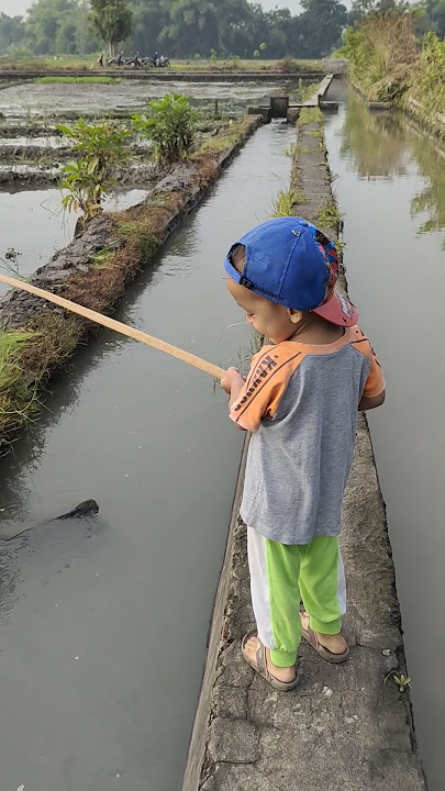 🦈🦈🤩🤩Mancing Ikan Hiu Martil Mainan