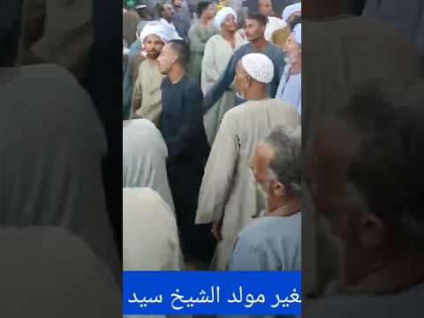 كم زليل فيكي وكم متيم وكم عاشق لقيا المنيا الشيخ محمود الصغير
