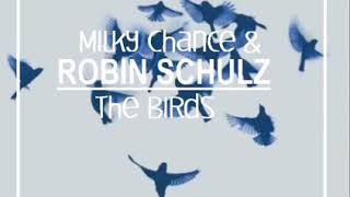 Milky Chance & Robin Schulz - The Birds [Type Beat] Prod. Byrnn