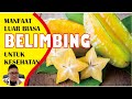 LUAR BIASA !!!!!! MANFAAT BUAH BELIMBING UNTUK KESEHATAN TUBUH