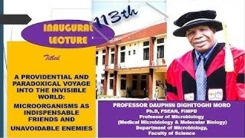 113TH INAUGURAL LECTURE, DELIVERED BY PROF. DAUPHIN DIGHITOGHI, MORO, PhD.