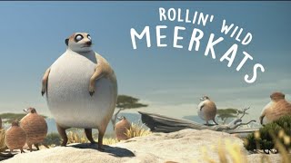 ROLLIN  SAFARI  |  Meerkats  |  what if animals were round ?? 🐐🐐😱😱