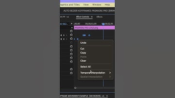 The SECRET to ORGANIC KEYFRAME MOVEMENT in PREMIERE PRO