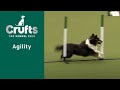 Agility – Championships – Small/Medium (Jumping) Part One | Crufts 2023