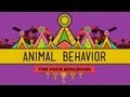 Animal Behavior - CrashCourse Biology #25
