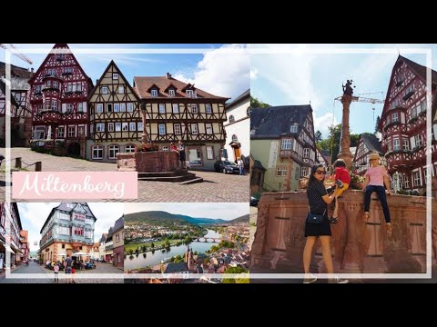 Miltenberg Town in Germany | Travel Vlog