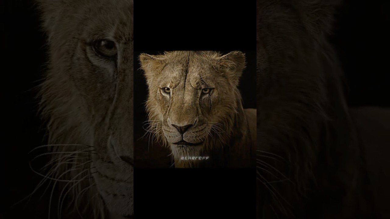 From Taka To Scar | The Lion King | 