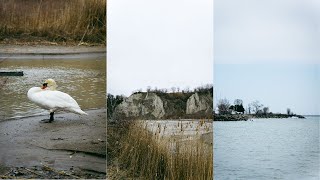 POV Toronto Nature Photography / Sony A6000 / Tamron 17-70mm F2.8