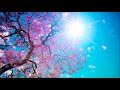 تلاوة للشيخ عنتر مسلم ماتيسر من سورة البقرة والحشر والزلزلة والعاديات والقارعة والتكاثر mp3