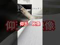 仰天(?)映像6選 #ハムスター