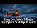 Kuzey Denizlerinde Vikingler Kış Boyunca Nasıl Hayatta Kalırdı