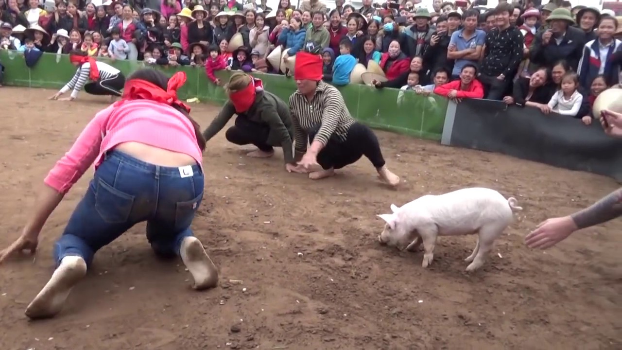 Bịt mắt bắt lợn | Hội Đình Thôn Lạc Dục - Xem cười thoải mái