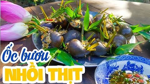 Ốc Bươu Nhồi Thịt Hấp Sả Thơm Ngon Càng Ăn Càng Mê