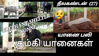 ELEPHANT SHELTER - TRAVEL WITH MUSIC - KONNI - KERALA - #subscribetomychannel #viral @FALCONRAID-