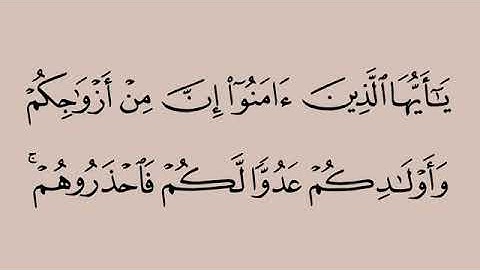 سورة التغابن من آية ١٤-١٨ محمد ايوب