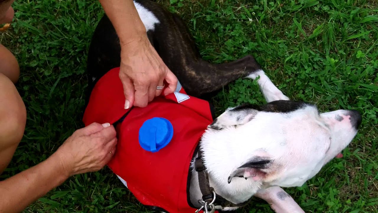 K9 Kwencher easy to put away