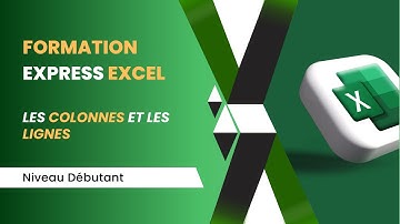 Formation express Excel débutant #1 : Manipuler des lignes et des colonnes