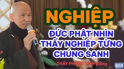 ĐỨC PHẬT NHÌN THẤU NGHIỆP CỦA CHÚNG SANH như thế nào ? Thầy Thích Phước Tịnh