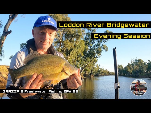 Loddon River Evening Fishing Session