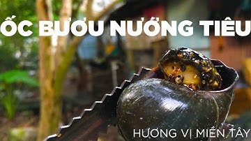 Cách làm ốc bươu nướng tiêu Miền Tây | Hương Vị Miền Tây