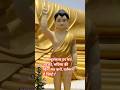 ✨ बुद्ध प्रतिमा के पावन दर्शन | Inner Peace & Serenity 🪷 | #shorts #youtubeshorts #buddha #ytshorts