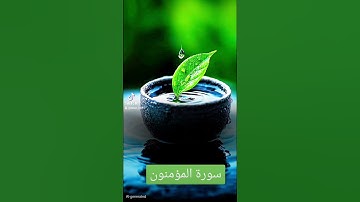 سورة المؤمنون #quran #اكسبلور #دويتو #المصحف #تيك_توك #العظماء #duet #لايك #حالات_واتس #عيد_مبارك