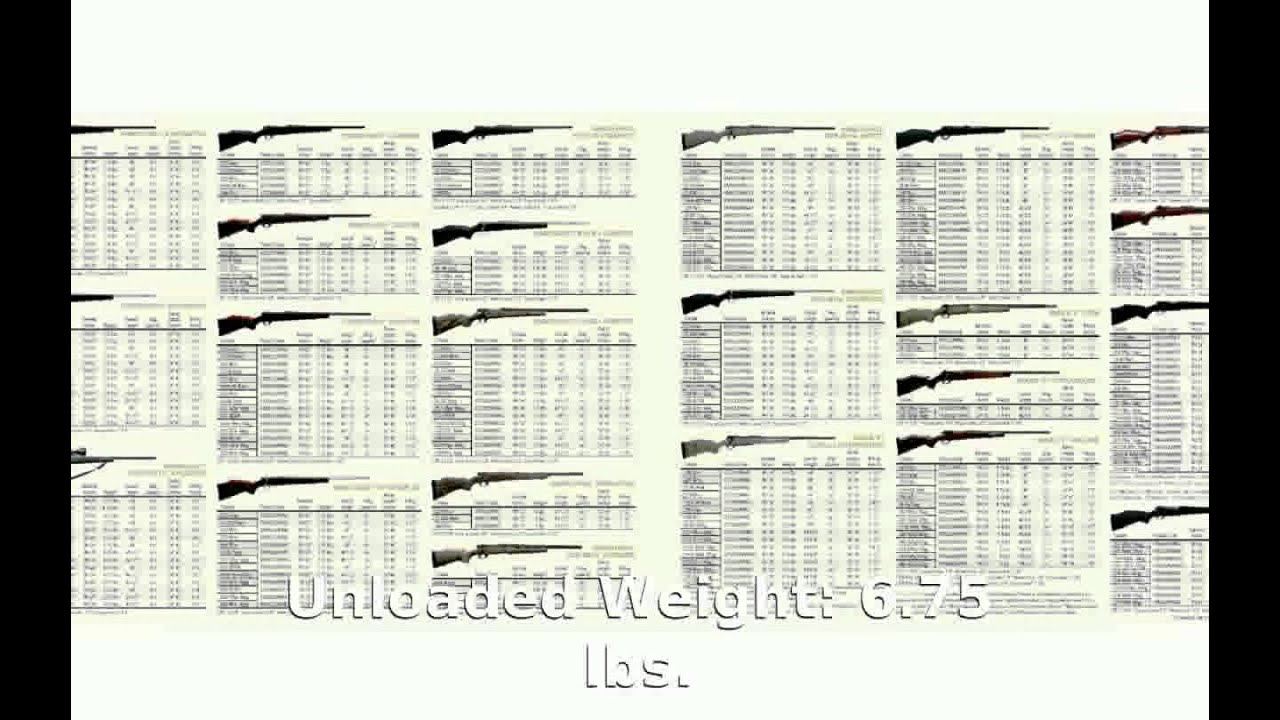 Weatherby Vanguard Series 2 Back Country .3006 Springfield Rifle