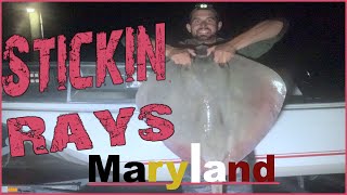 Bowfishing Stingrays in Ocean City Maryland!