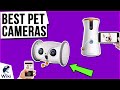 9 Best Pet Cameras 2021