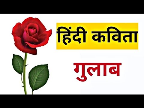 speech on gulab in hindi