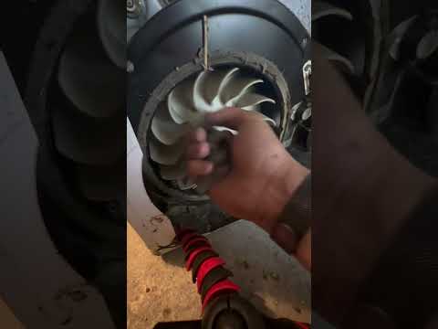 Replacing a thermal fuse on a dryer along with cleaning out the lint