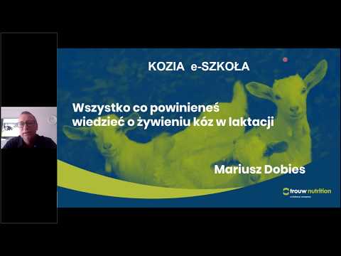 Wideo: Jak długo psy mogą żyć z chorobą Cushinga?