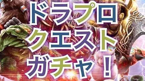 ドラプロ C素材 ドラプロ C素材