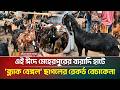 মেহেরপুরে ঈদকে সামনে রেখে জমে উঠেছে ব্ল্যাক বেঙ্গল ছাগলের হাট | Meherpur | Goat | ATN Bangla News