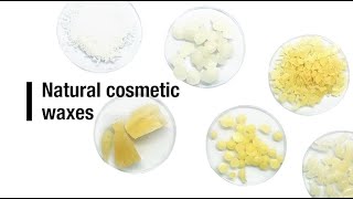 Natural cosmetic waxes