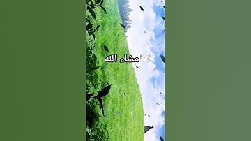 تلاوة تريح القلب #قران #تلاوة_خاشعة #راحة_نفسية #quran