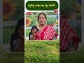 పచ్చిరొట్ట ఎరువుల వల్ల నష్టం ఏమిటి ? | T-SAT