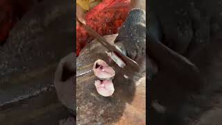 vanjaram fish cutting video