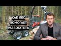 Как лес сделал Финляндию богатой. Полезные уроки для Украины