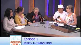 Details AccessTV Episode 1: Intro. to Transition Guide