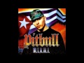 Pitbull Dammit Man Pitbull Dammit Man