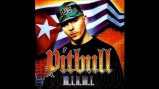 Pitbull - Dammit Man
