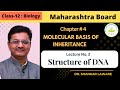 Molecular Basis of Inheritance | Lecture 2 |12 Biology | Structure of DNA | Dr. Shankar Laware