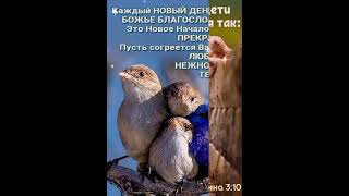 Доброе утро, ☀️ хорошего дня и мирного неба.🕊️Мир вашему дому