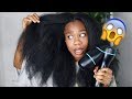 I TRIED A $400 BLOWDRYER ON MY LONG THICK TYPE 4 NATURAL HAIR! IS IT WORTH THE COIN?