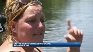 Sightings Of Wessie Giant Snake In Westbrook Maine