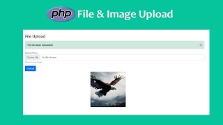 How to make PHP File Upload System | PHP Image Upload